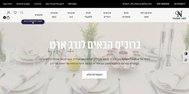 צילום האתר של נדב ארט